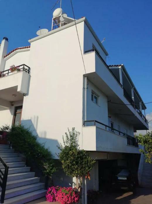 Sea Side Villa Alexandra Alissos Zewnętrze zdjęcie